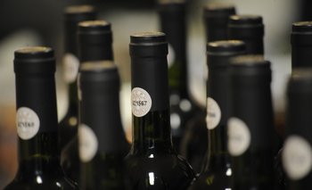 La producción de vino de 2022 se estimó en 78 millones de litros.