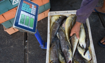 Uruguay exportó 25.117 toneladas de productos de pesca.