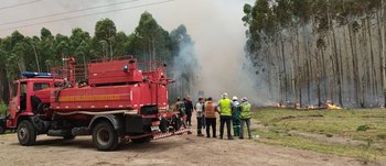 Incendio forestal ocurrido en Paysandú