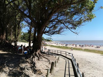 Una de las bajadas de la playa Mansa en Atlántida, cercana a la Expo Platea.