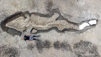Un hombre posa junto a los restos excavados del mayor ictiosaurio de Reino Unido