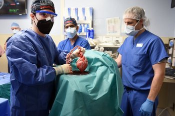 Un momento del primer trasplante exitoso de un corazón porcino a un adulto humano con cardiopatía terminal