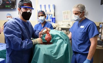 Un momento del primer trasplante exitoso de un corazón porcino a un adulto humano con cardiopatía terminal