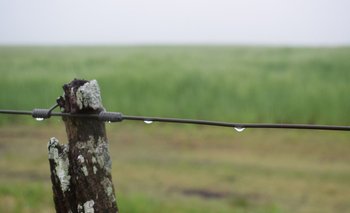 Los meteorólogos concuerdan en que las lluvias venideras serán un "alivio" y "ayuda" contra la sequía, pero nada muy significativo