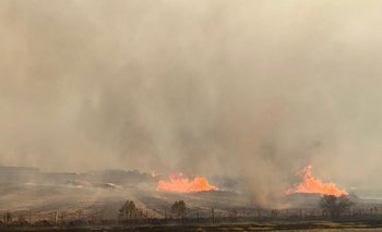 En Paysandú y Río Negro se quemaron 37 mil hectáreas.