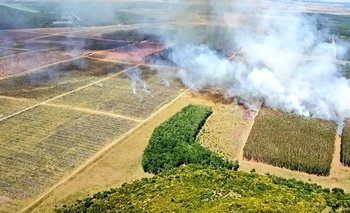 Incendio forestal producido en Algorta, Río Negro, a principios de 2023 (foto archivo)