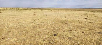Imágenes de la sequía durante enero