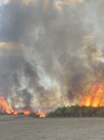 Así se veía el incendio en Santa Lucía, Canelones