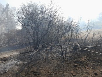 Incendio cerca de la escuela 37