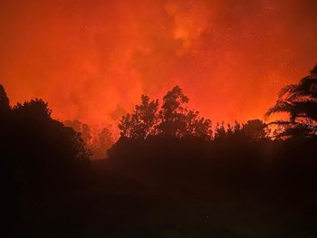 Incendio en Cerro del Toro, Maldonado