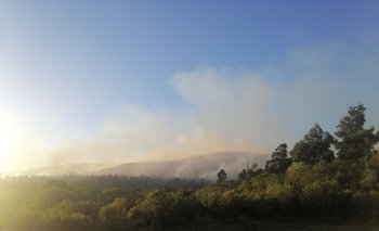 25012023 incendio en Cerro del Toro