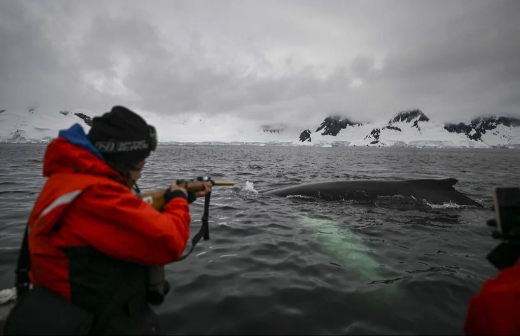A Colombian Mission To Antarctica Is Analyzing Signs Of Climate Change