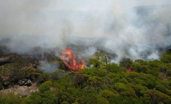 Ministerio de Ganadería amplió emergencia agropecuaria a zonas afectadas por incendios
