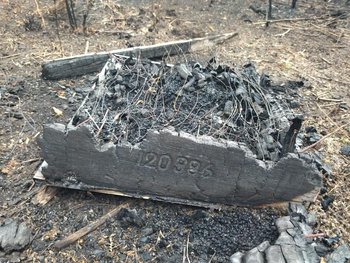Una de las colmenas quemadas, con pérdidas totales.