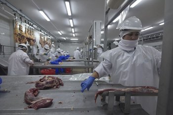 El precio de la carne exportada se sigue afirmando.