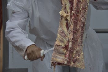 Surgió un nuevo foco de conflicto sindical en el sector industrial de la carne.