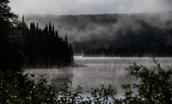 El bosque boreal, que se encuentra principalmente en Siberia, el norte de Canadá y Alaska, es el área silvestre más grande del mundo