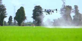 Los drones se pueden utilizar para fines productivos, como por ejemplo fumigar cultivos.