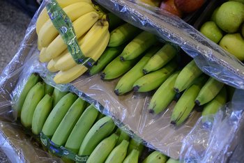 El 100% de la banana que se consume en Uruguay es importada.