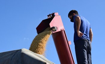 La soja sigue siendo, por muy lejos, el grano de verano más producido en el país.