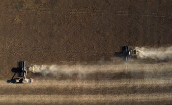 Por la falta de agua se espera una baja de 28,5 millones de toneladas en los rindes de trigo, maíz y soja en Argentina.
