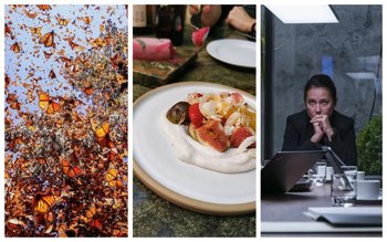 Gastronomía, series y más recomendaciones en el Picnic de hoy