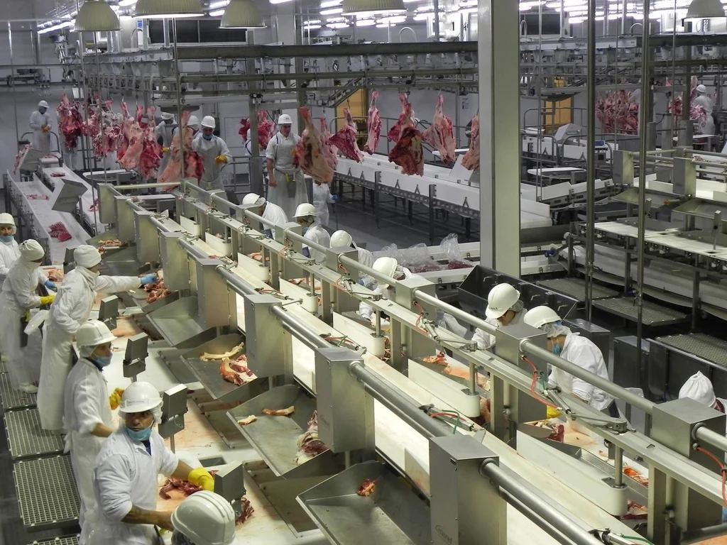 The tips that explain why Uruguay is a world power in the meat sector