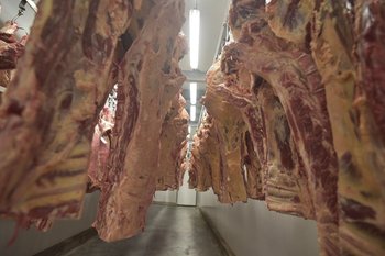 Argentina es el cuarto exportador mundial de carne bovina, con 819.000 toneladas en 2020