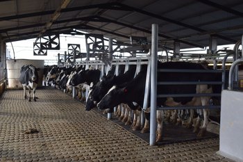 Las exportaciones del sector lácteo empezaron a recuperarse en mayo.