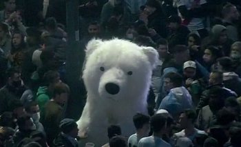 Un oso polar en los festejos del obelisco de Buenos Aires