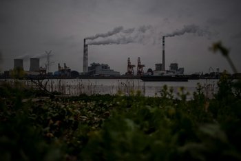 Las empresas deberían centrarse en reducir sus propias emisiones