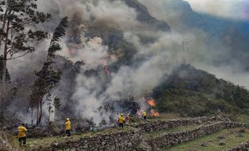 se informó que el fuego destruyó más de 30 hectáreas de vegetación