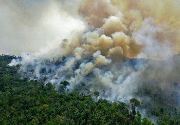 Archivo, 2020. Un segmento del Amazonas en fuego