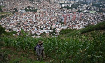 Vecinos cultivan en La Vega, con vista a la ciudad de Caracas. 