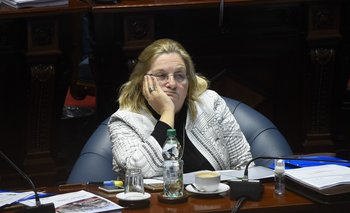 Graciela Bianchi en la Cámara de Senadores