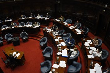 El Senado aprobó el proyecto de ley de tenencia compartida, que la directora de la ONG criticó