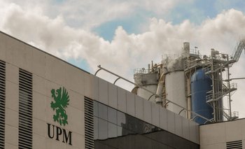 UPM fue sancionada por vertir contaminantes en un vivero