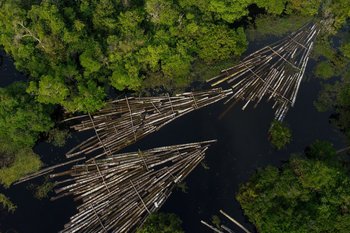 Deforestación en el amazonas