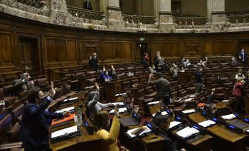 En Diputados se votará la ley de cuidados paliativos el 9 de diciembre