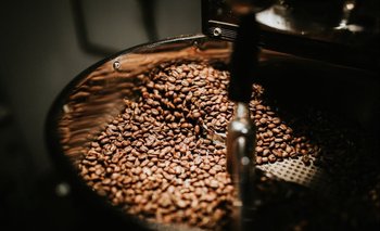 Una investigación de la Universidad McMaster, en Canadá, indica que el café negro puede protegernos de riesgos cardiovasculares