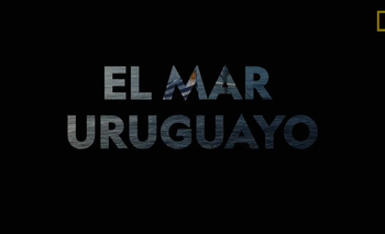 Adelanto del documental que prepara NatGeo sobre el mar uruguayo