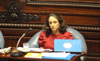 Carmen Sanguinetti en debate en Cámara de Senadores