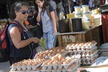 Investigaciones indican que el consumo de huevos tiene numerosos beneficios para la salud
