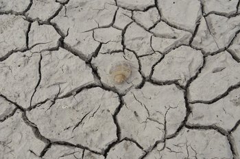 “La mitad de la población mundial afrontará una grave escasez de agua en los próximos ocho años"
