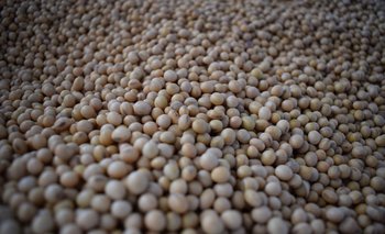 Este año se exportaron 150 mil toneladas de soja desde el puerto de Nueva Palmira.
