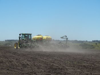Para la zafra 2021/22 se estima una siembra de cultivos de verano para grano seco que alcance las 1.154.000 hectáreas.