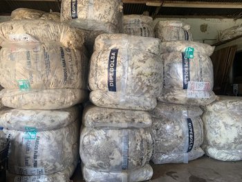 Se vendieron 3.000 kilos de lana Merino Australiano a US$ 14,15.