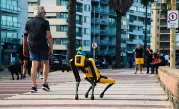 El perro robot paseó por diferentes puntos de Montevideo.