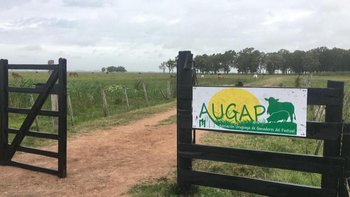 Unos 160 productores ganaderos integran la Augap.