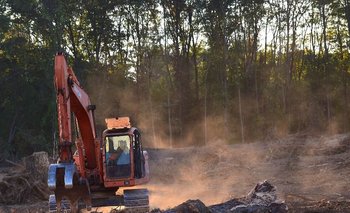 Sojeros de Brasil criticaron el plan de Europa contra la deforestación